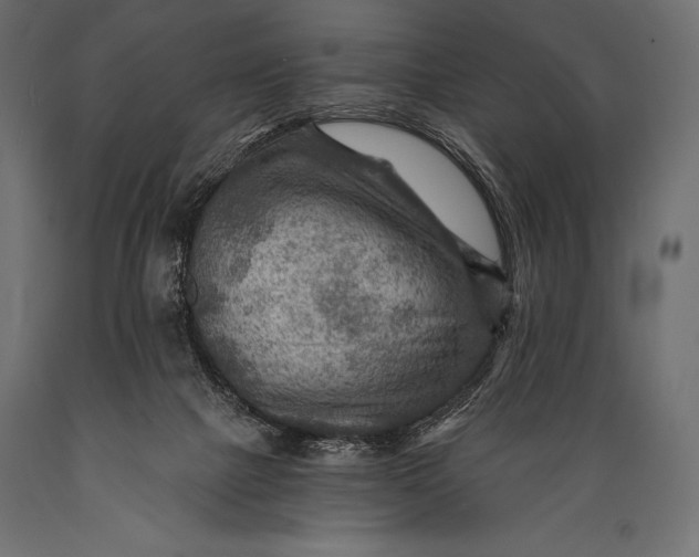 X0000088860073200706291527