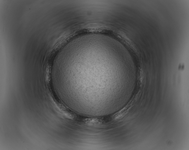 X0000088860074200706291527