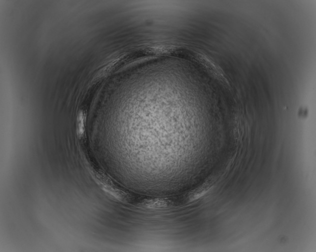 X0000088860075200706291527