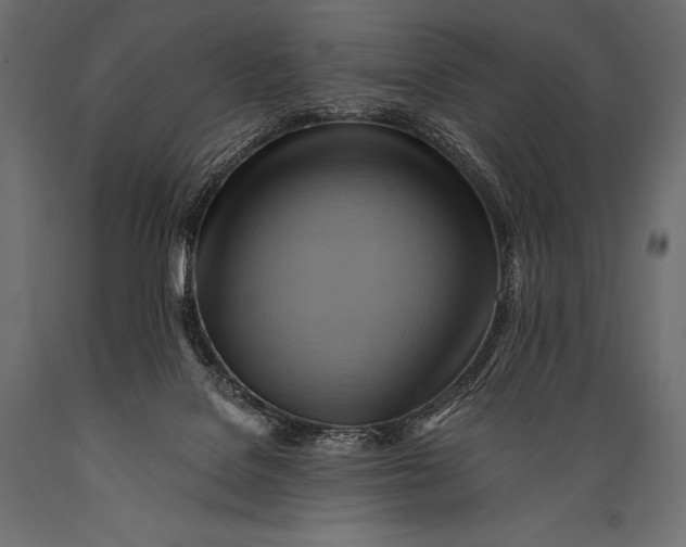 X0000088860076200706291527