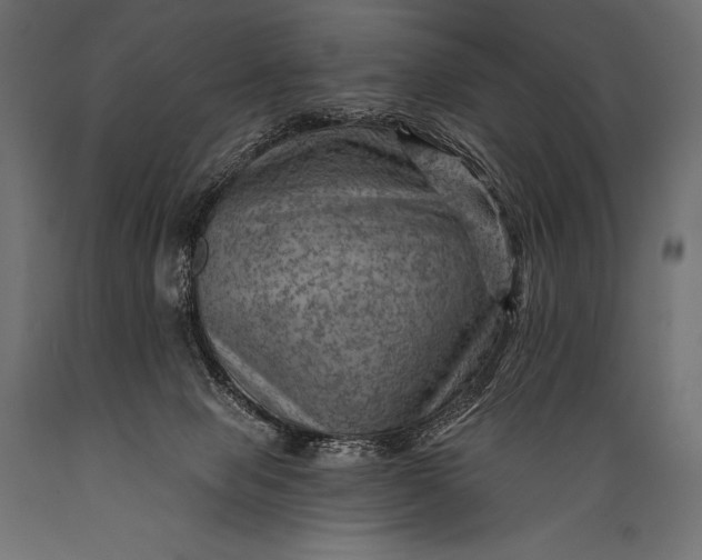 X0000088860077200706291527