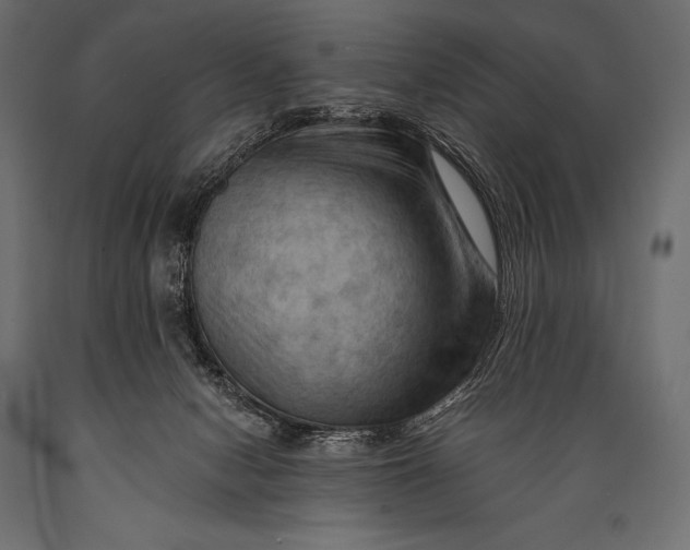 X0000088860078200706291527