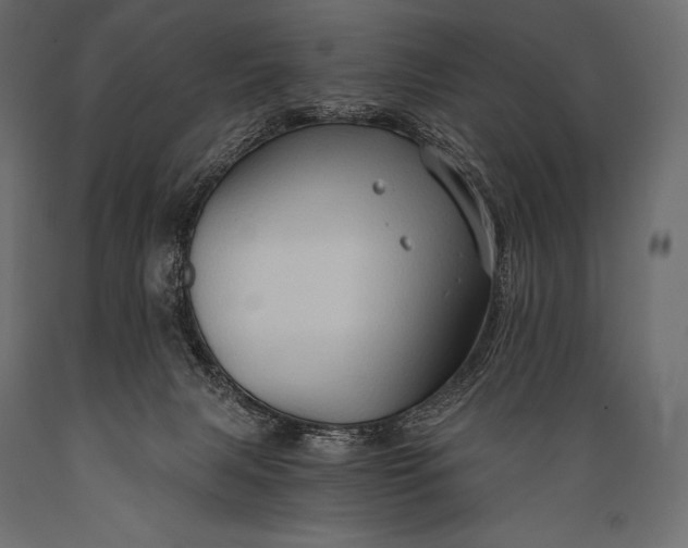 X0000088860079200706291527