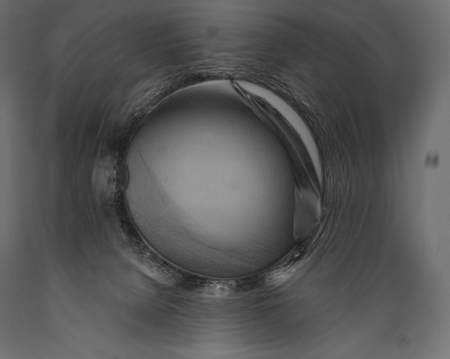 X0000088860080200706291527