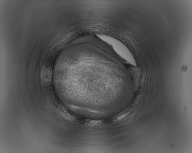 X0000088860081200706291527