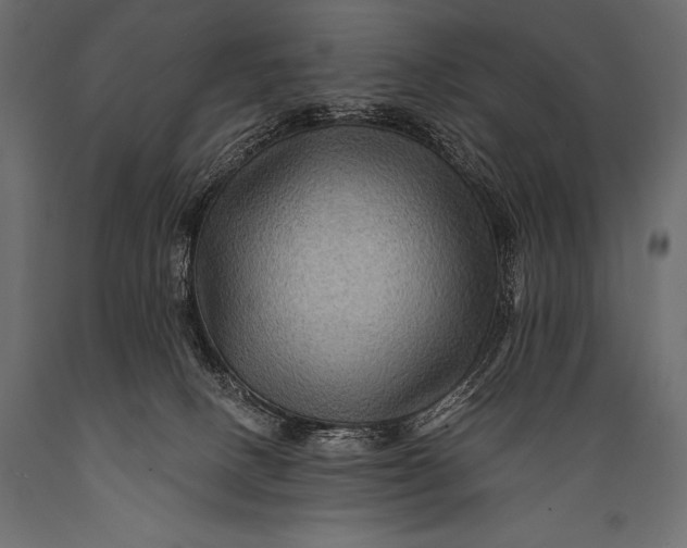 X0000088860082200706291527