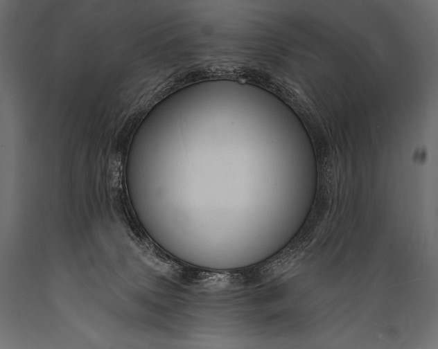 X0000088860083200706291527