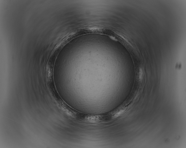 X0000088860084200706291527