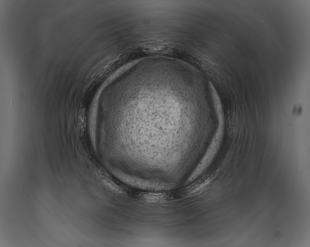 X0000088860085200706291527