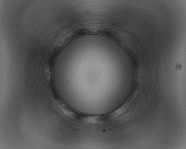 X0000088860086200706291527