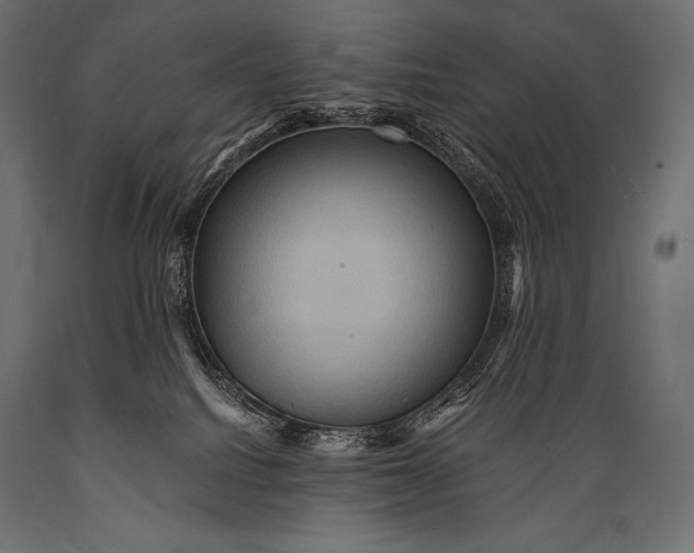 X0000088860088200706291527