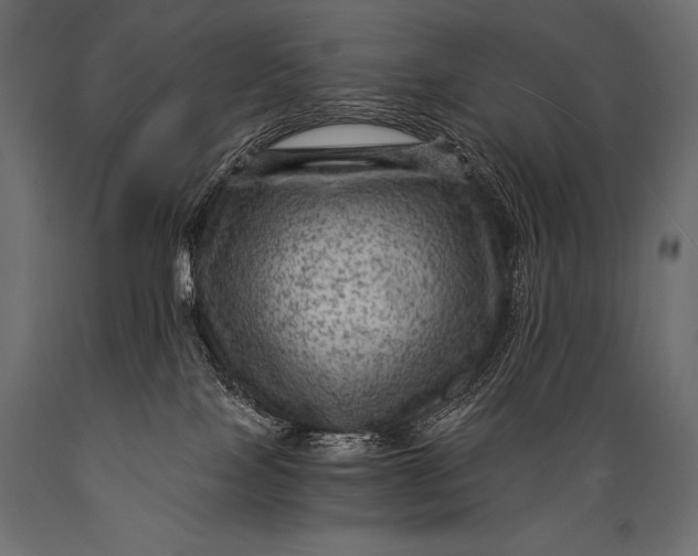 X0000088860089200706291527