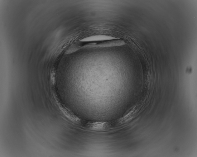 X0000088860090200706291527