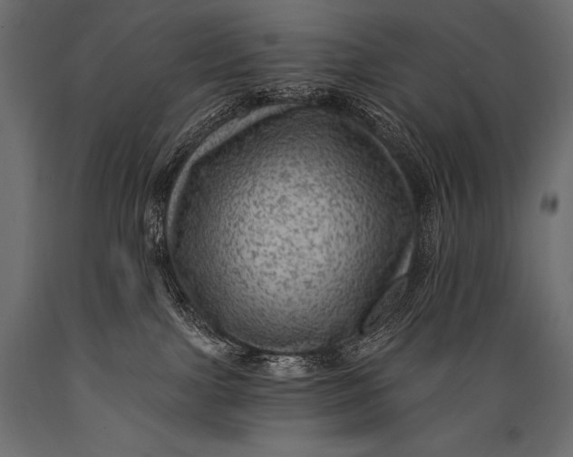 X0000088860091200706291527