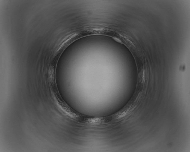 X0000088860092200706291527