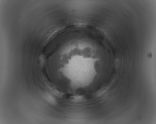 X0000088860093200706291527