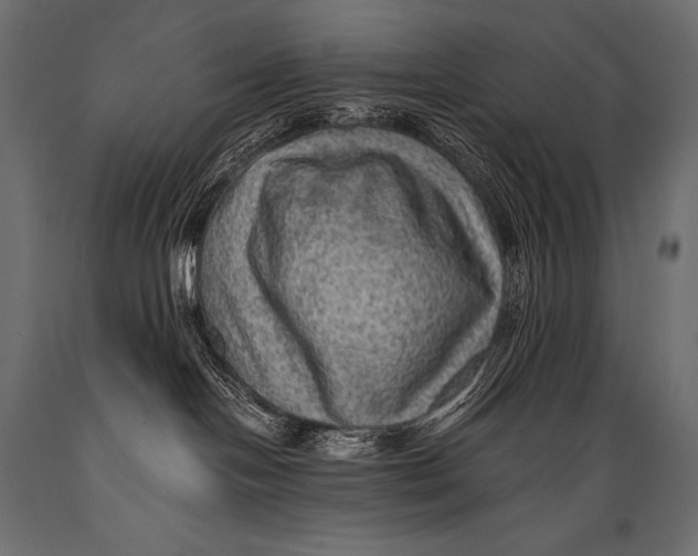 X0000088860094200706291527