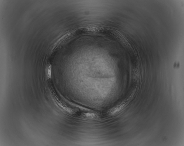 X0000088860095200706291527