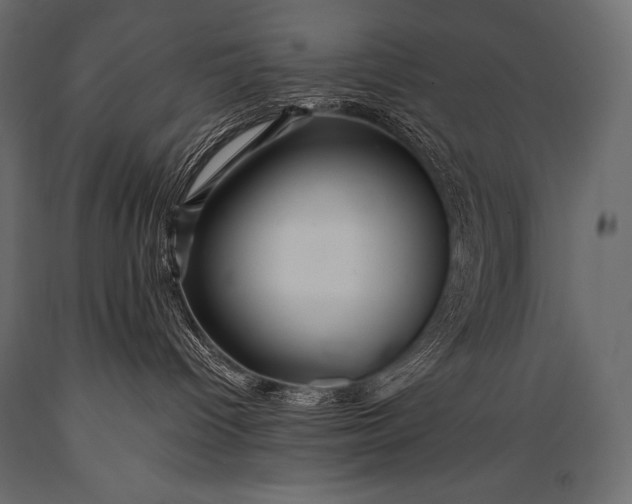 X0000088860096200706291527