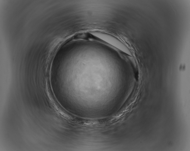 X0000088860097200706291527