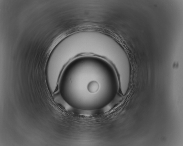 X0000088860099200706291527