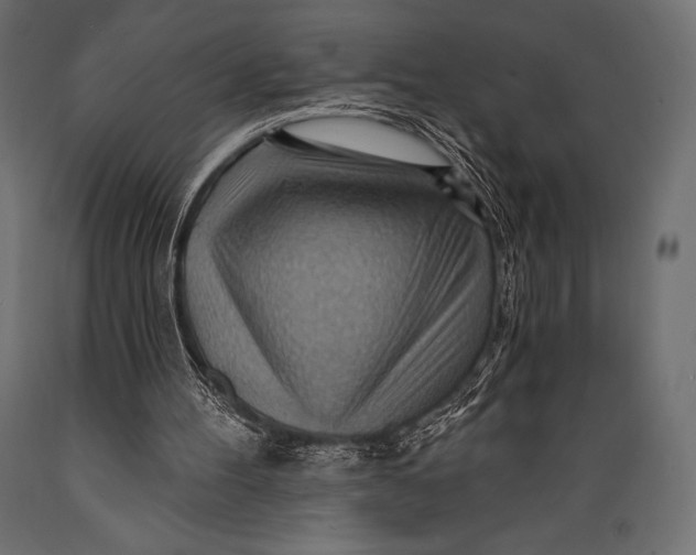 X0000088860100200706291527