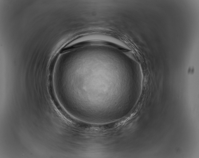 X0000088860101200706291527