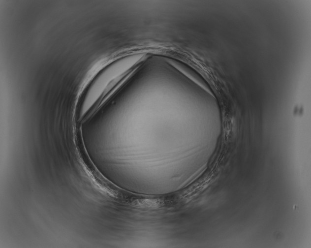 X0000088860102200706291527