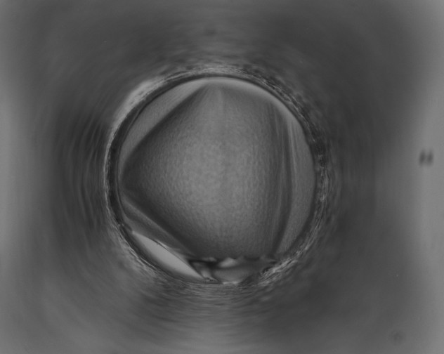 X0000088860104200706291527