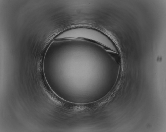 X0000088860105200706291527