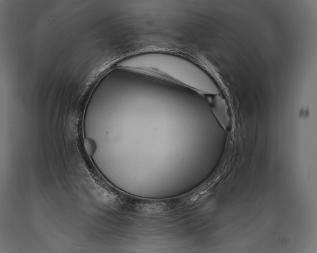 X0000088860106200706291526