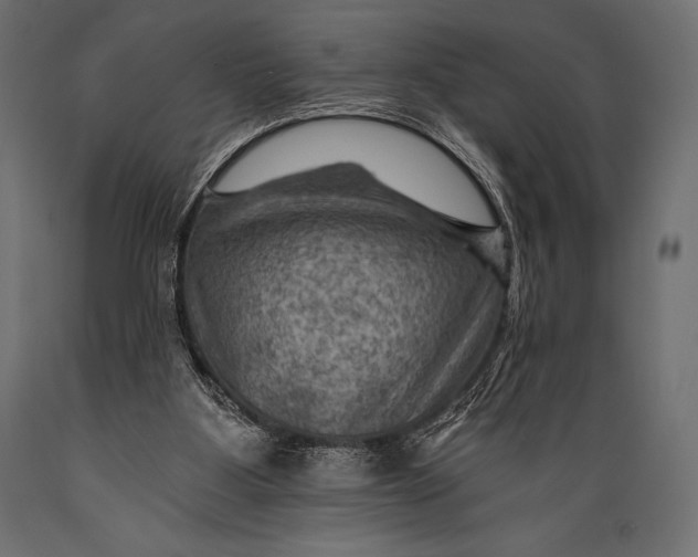 X0000088860107200706291526