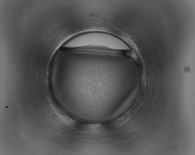 X0000088860108200706291526