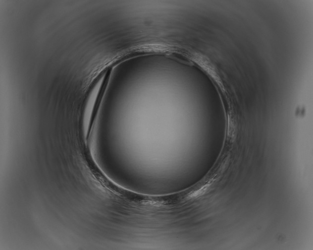 X0000088860109200706291526