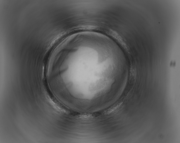 X0000088860110200706291526