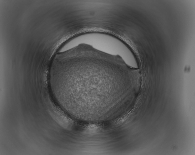 X0000088860111200706291526