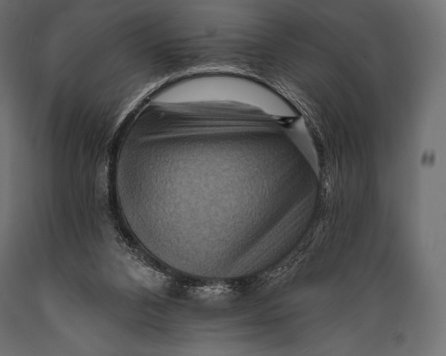 X0000088860112200706291526