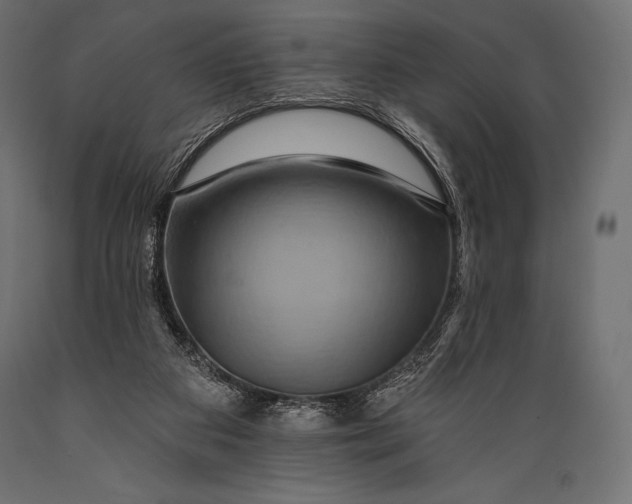 X0000088860113200706291526