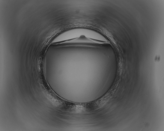 X0000088860114200706291526