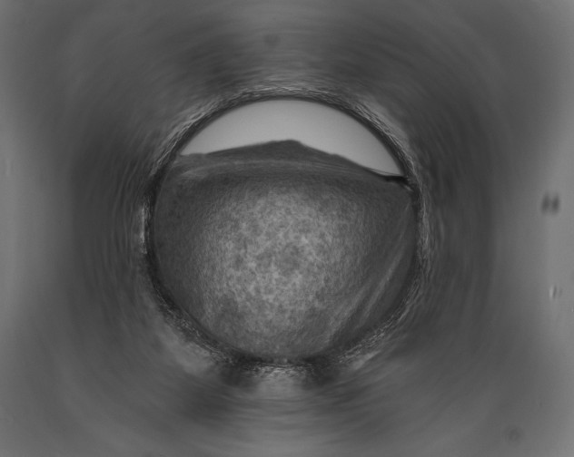 X0000088860115200706291526