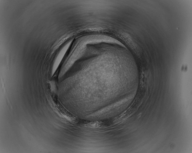 X0000088860116200706291526