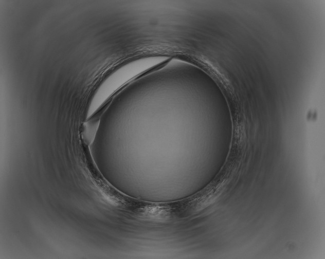 X0000088860117200706291526