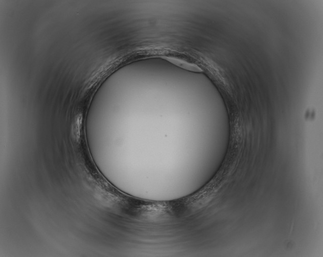 X0000088860118200706291526