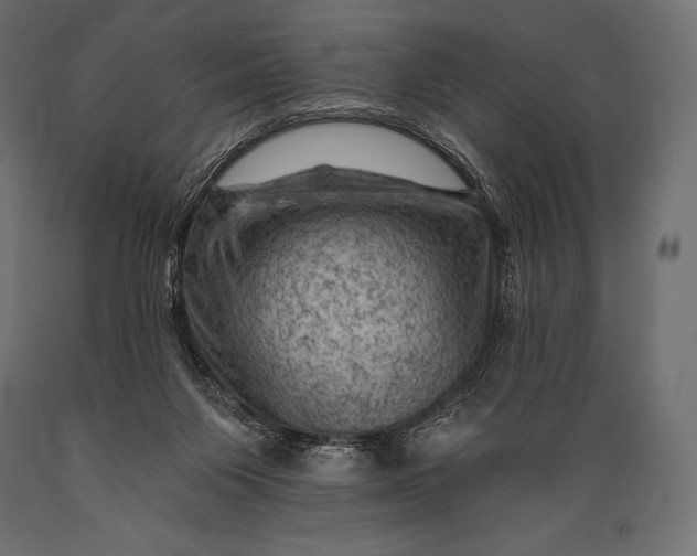 X0000088860119200706291526