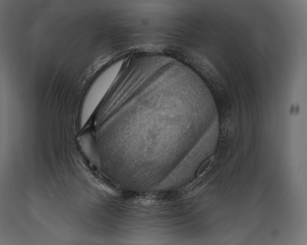 X0000088860120200706291526