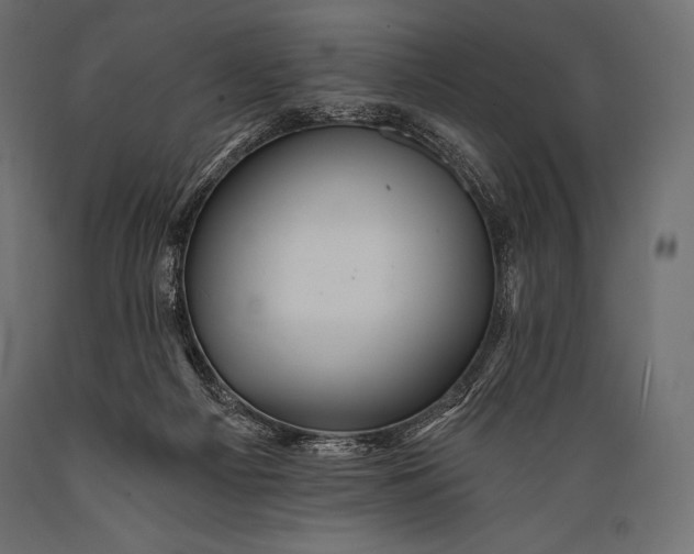 X0000088860121200706291526