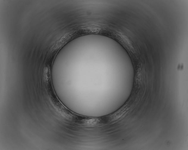 X0000088860122200706291526