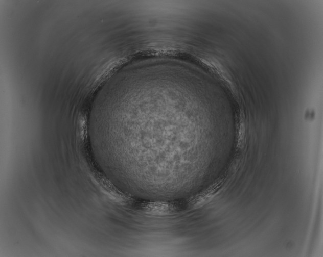 X0000088860123200706291526