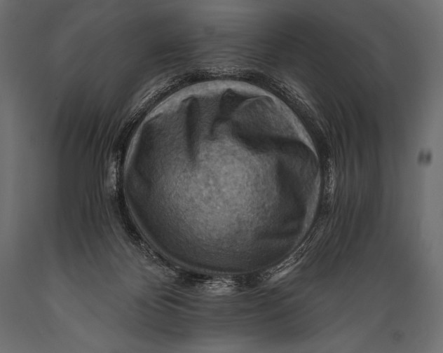 X0000088860124200706291526