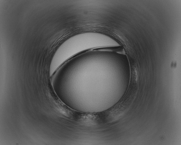 X0000088860125200706291526